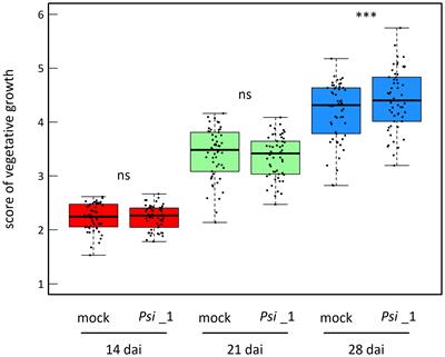 Genetic architecture of the response of Arabidopsis thaliana to a native plant-growth-promoting bacterial strain